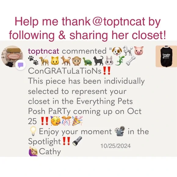 “Trouble Maker” Breathable Mesh Vest T-Shirt Outfit for Mini/Sm Pet Dog (XS) - Picture 6 of 7